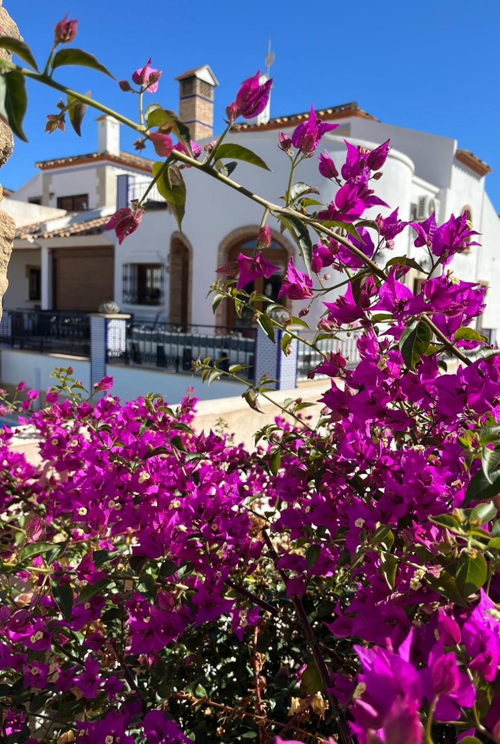 La Torre Alba - La Finca Golf Resort Algorfa Exterior photo